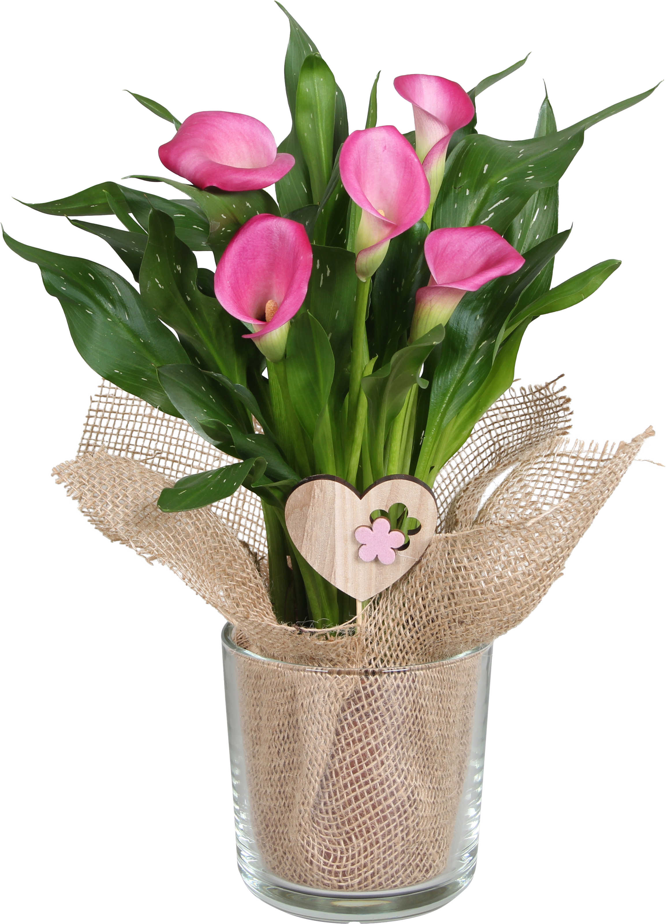 Calla Zazu, glas met jute sheet en bijsteker, ø14